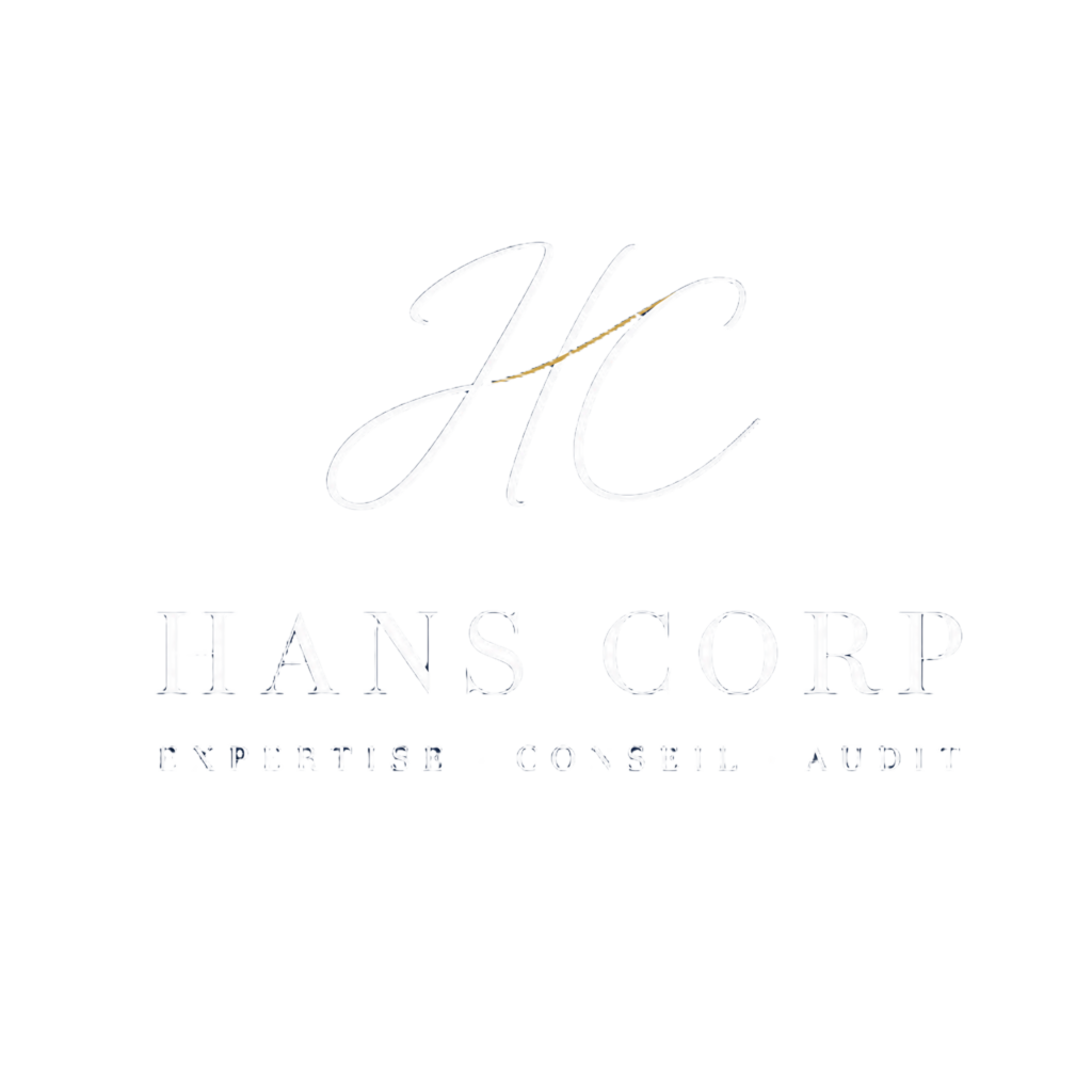 Hans Corp, Expertise, Conseil, audit
